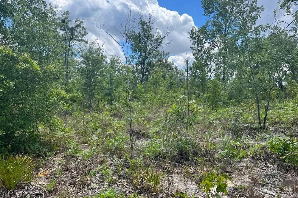 0000 LADY BUG LANE Melrose, FL 32666