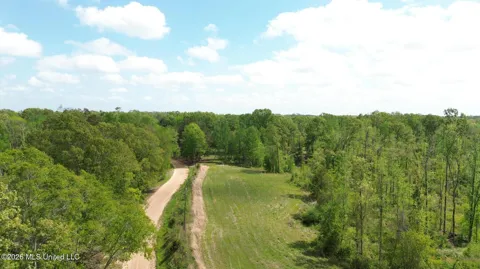 Stevens Rd