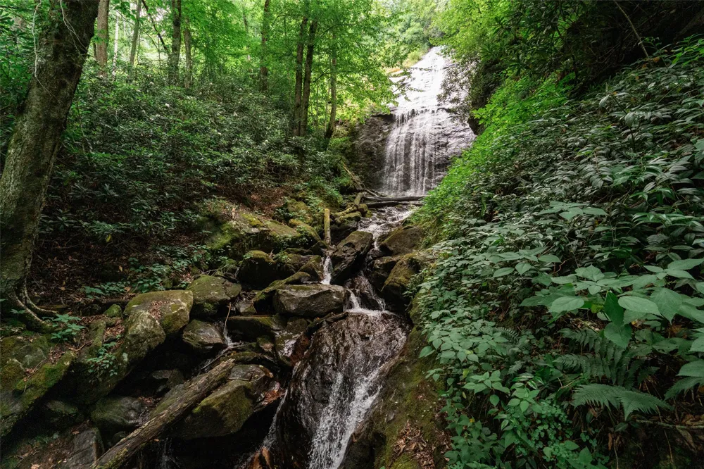 27 Cullowhee Forest rd Road Cullowhee, NC 28723
