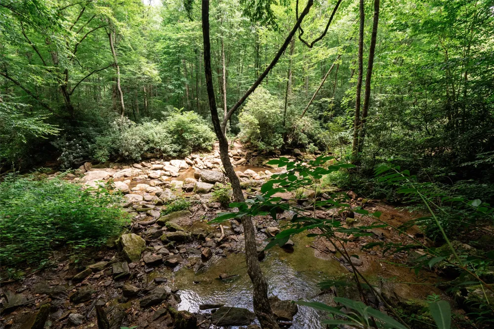 27 Cullowhee Forest rd Road Cullowhee, NC 28723