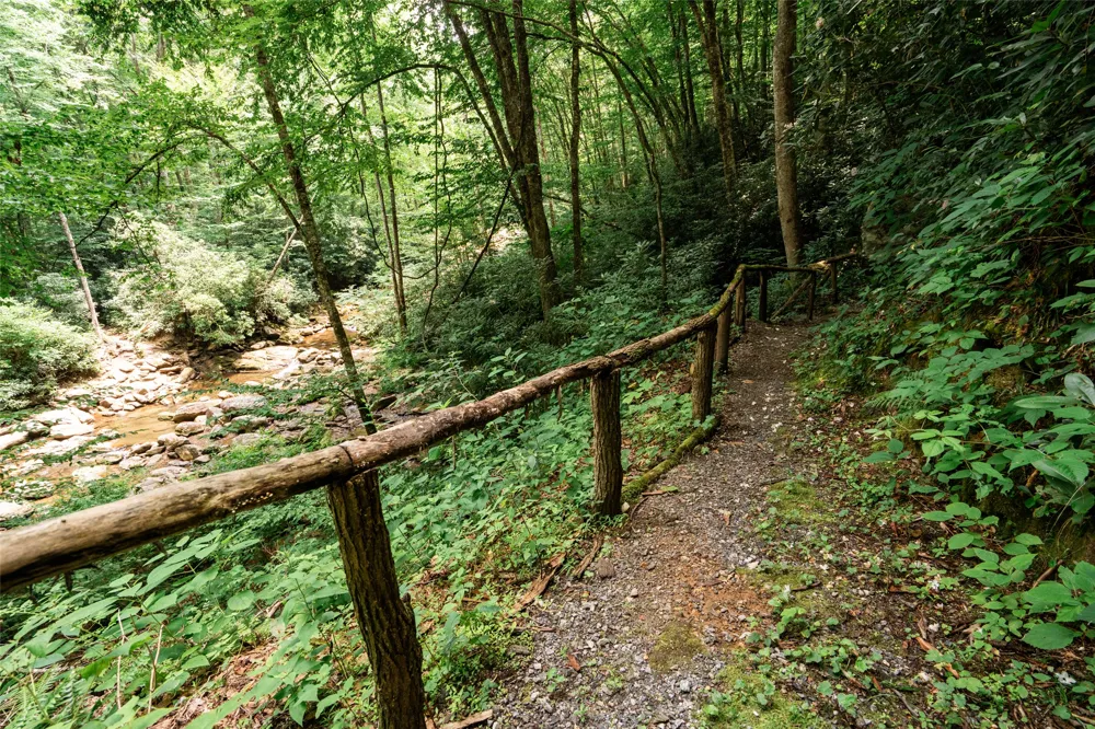 27 Cullowhee Forest rd Road Cullowhee, NC 28723