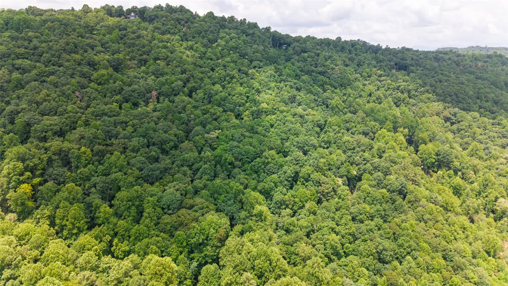 27 Cullowhee Forest rd Road Cullowhee, NC 28723