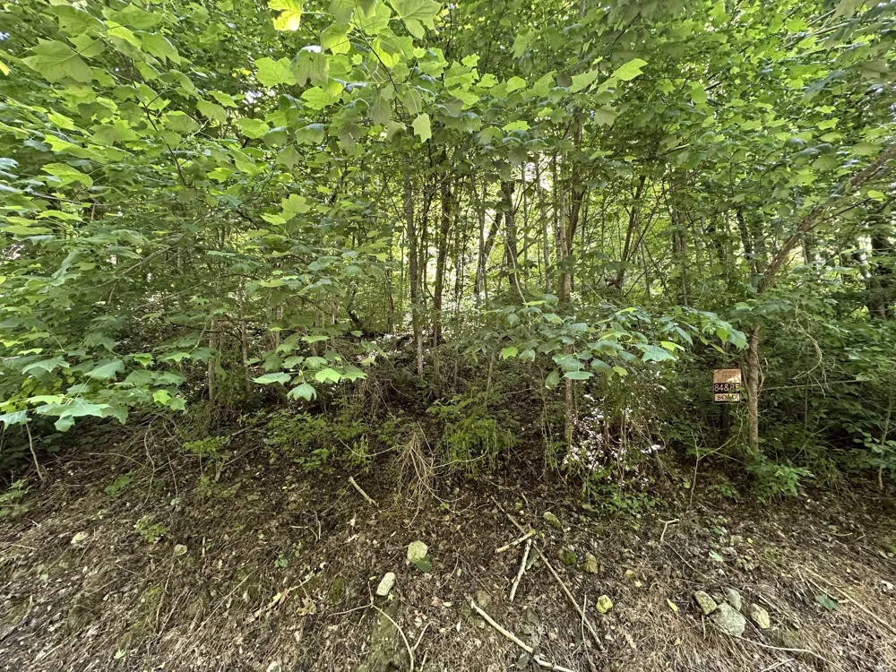 0 Shoreside Dr Smithville, TN 37166