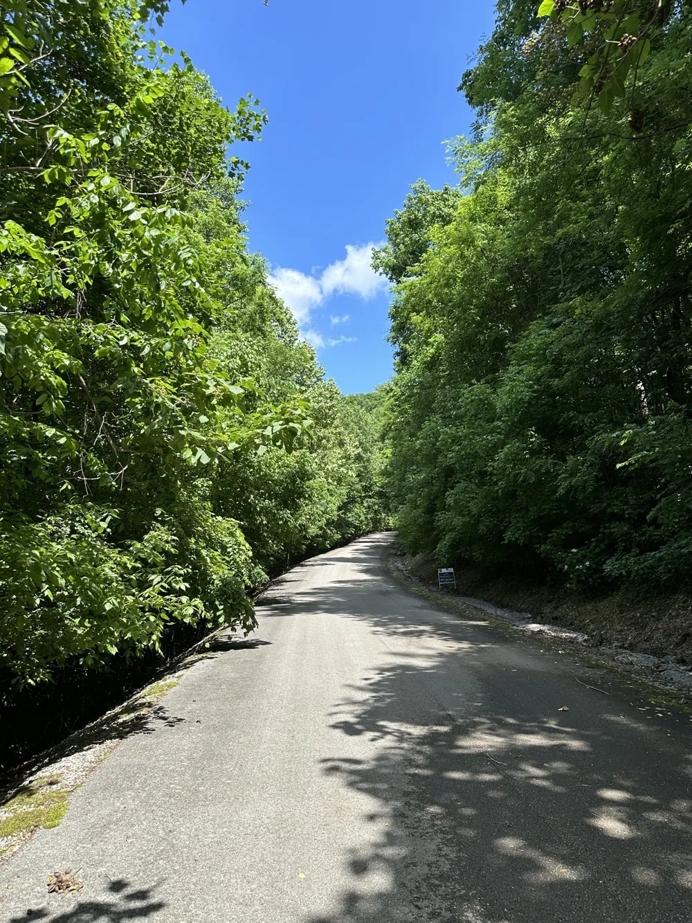 0 Shoreside Dr Smithville, TN 37166