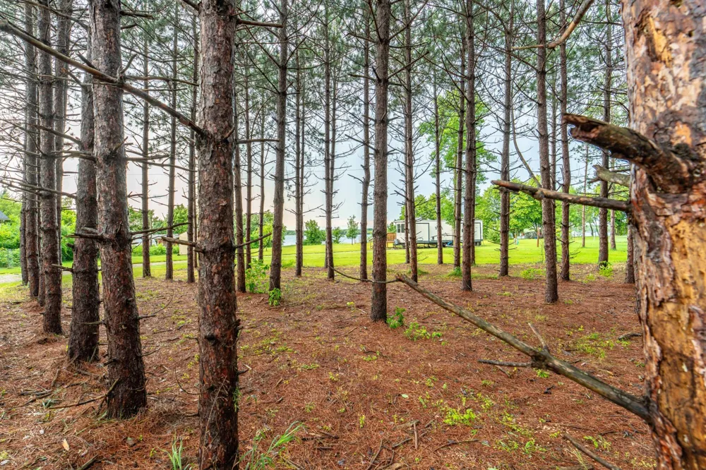 20265 Swenson Drive Clitherall, MN 56524