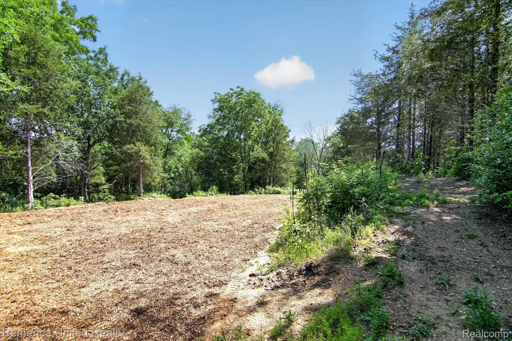11521 Westshore Drive Putnam Township, MI 48169