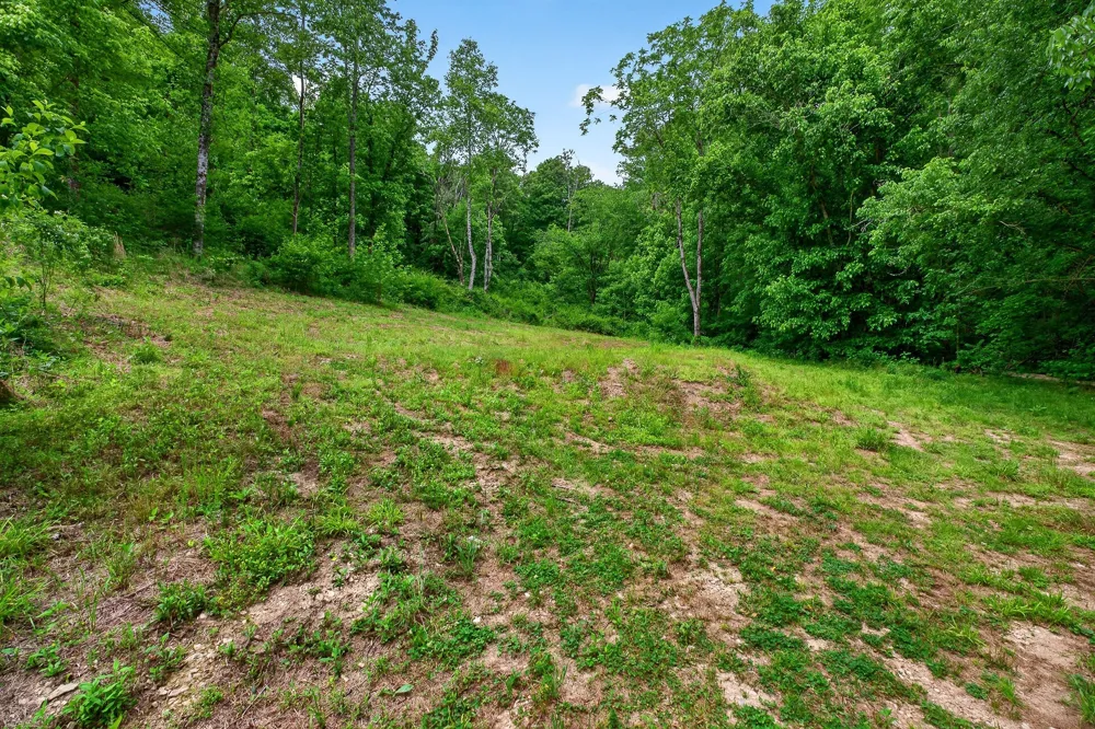 0 Club Springs Rd Elmwood, TN 38560