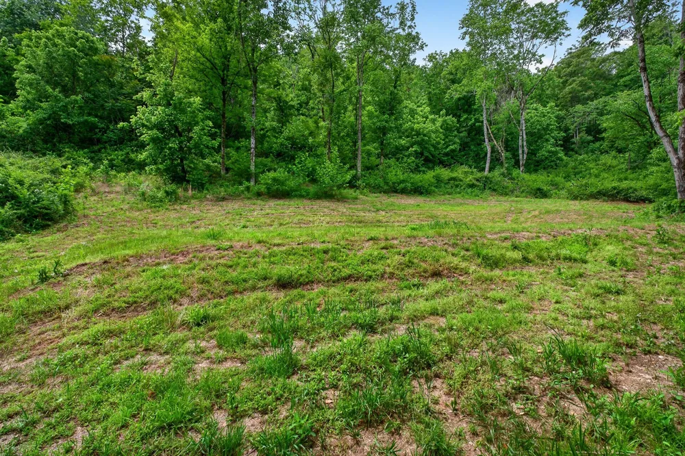 0 Club Springs Rd Elmwood, TN 38560