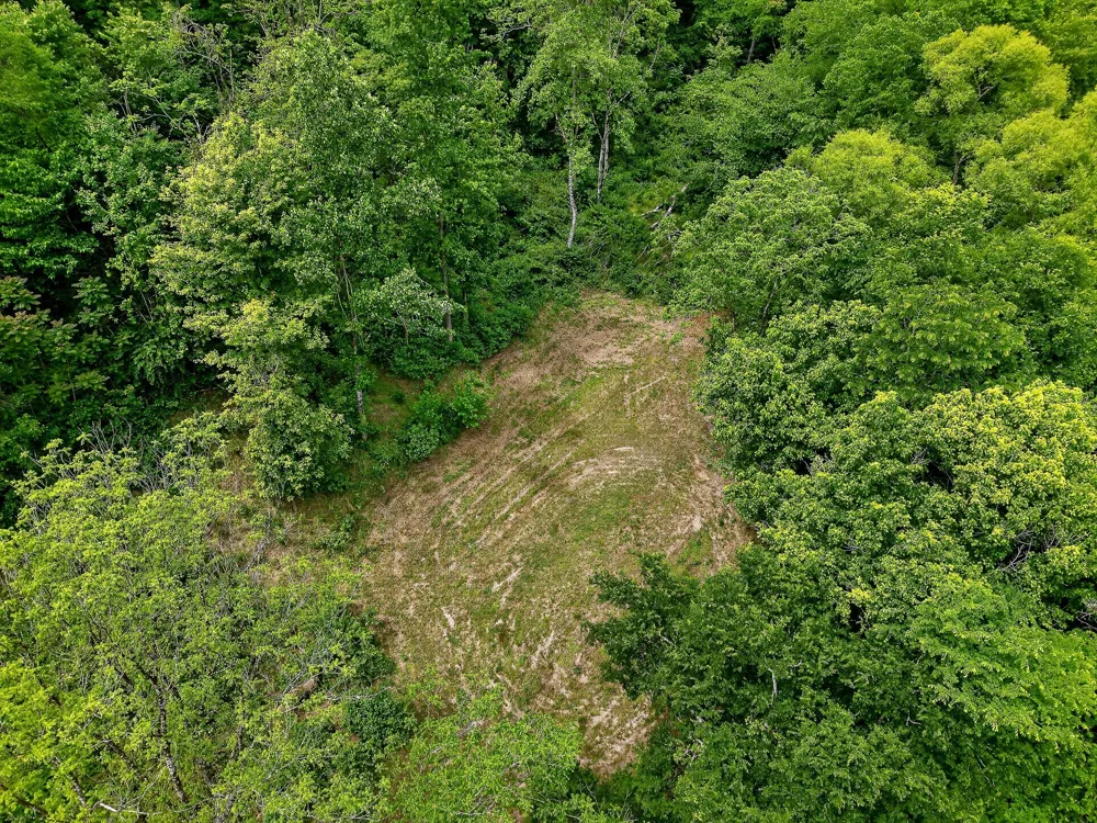 0 Club Springs Rd Elmwood, TN 38560