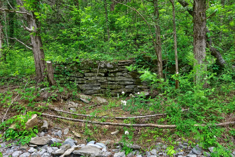0 Club Springs Rd Elmwood, TN 38560
