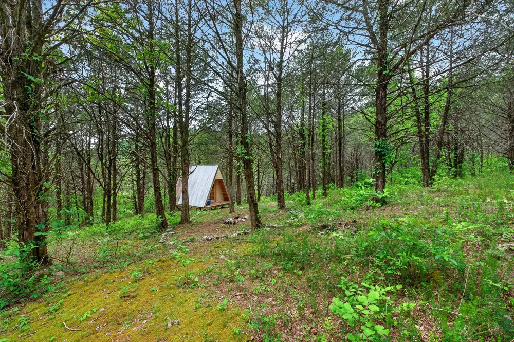 0 Club Springs Rd Elmwood, TN 38560