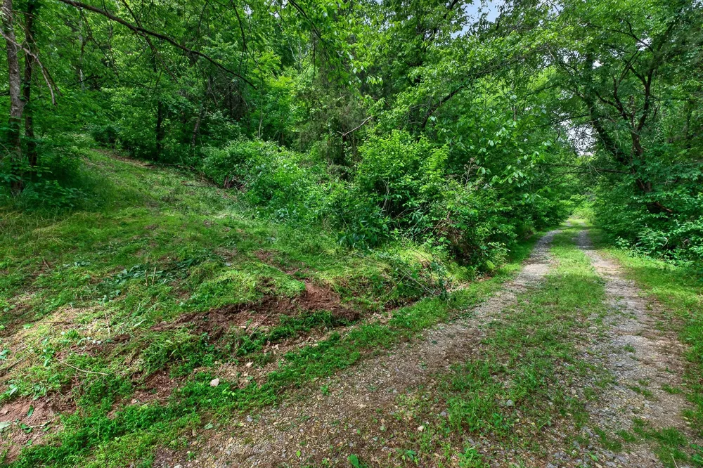 0 Club Springs Rd Elmwood, TN 38560
