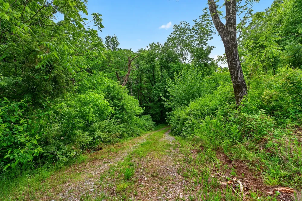 0 Club Springs Rd Elmwood, TN 38560
