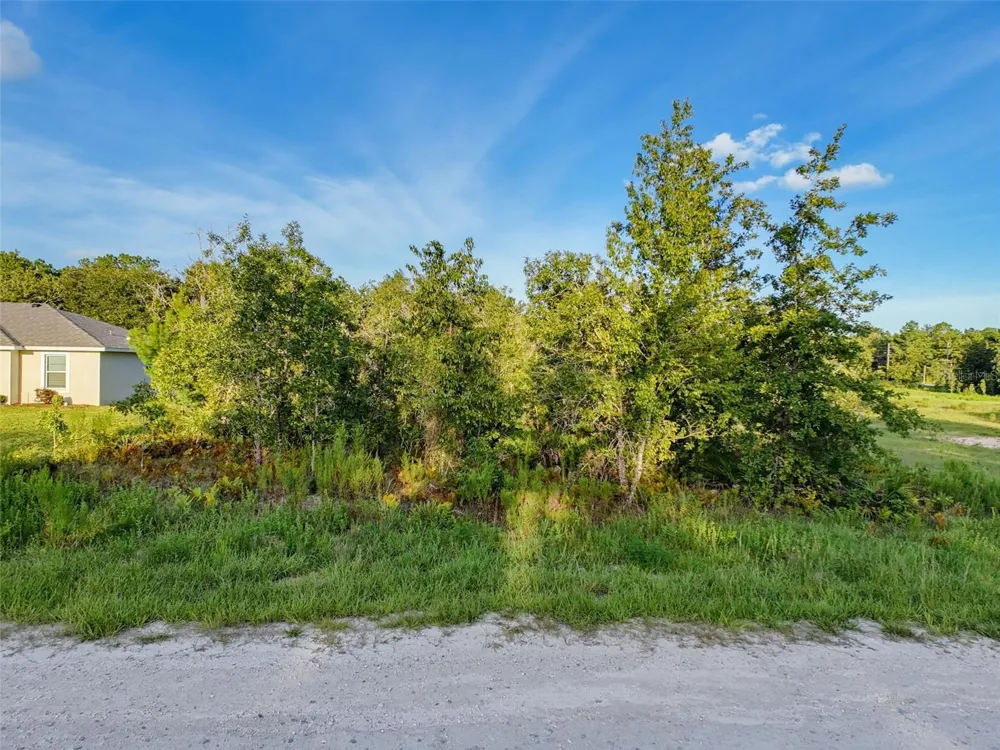 COURLAN ROAD Weeki Wachee, FL 34614