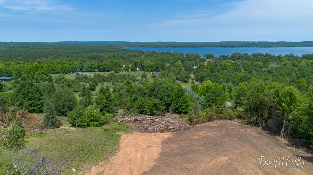 Spruce Ridge Road Bear Lake, MI 49614