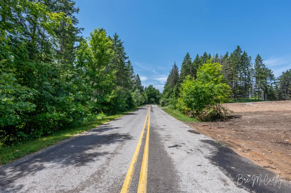 Spruce Ridge Road Bear Lake, MI 49614