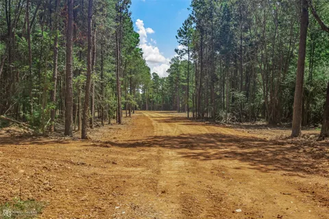 Alden Bridge Loop