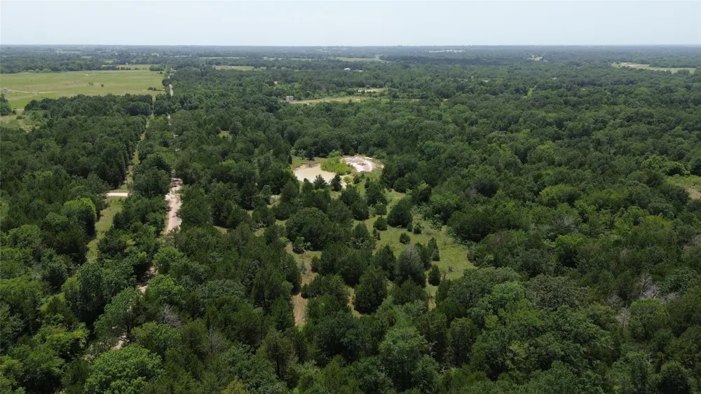 CR 660 Teague, TX 75860