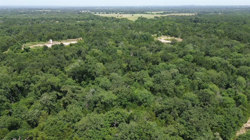 CR 660 Teague, TX 75860