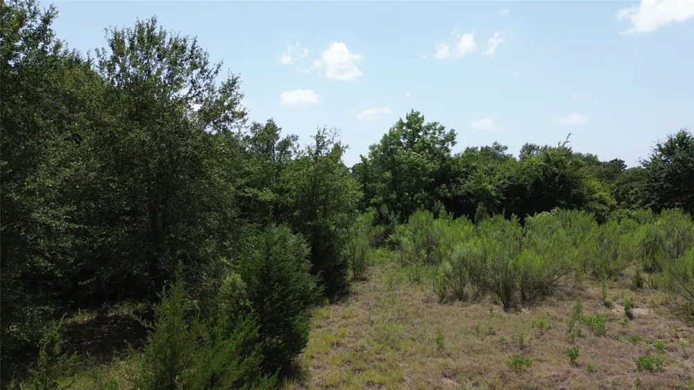 CR 660 Teague, TX 75860