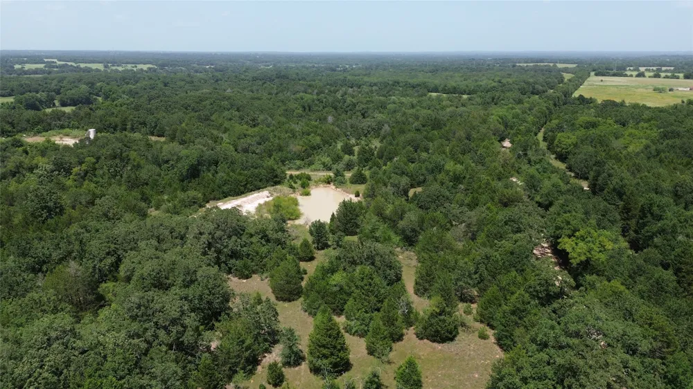 CR 660 Teague, TX 75860