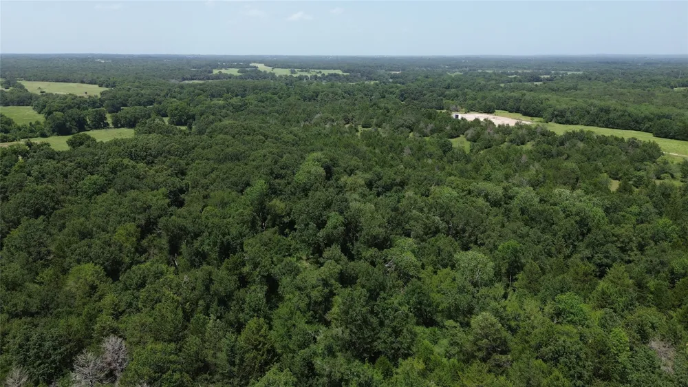 CR 660 Teague, TX 75860