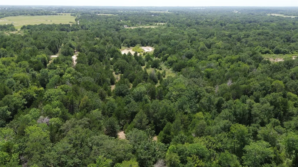 CR 660 Teague, TX 75860