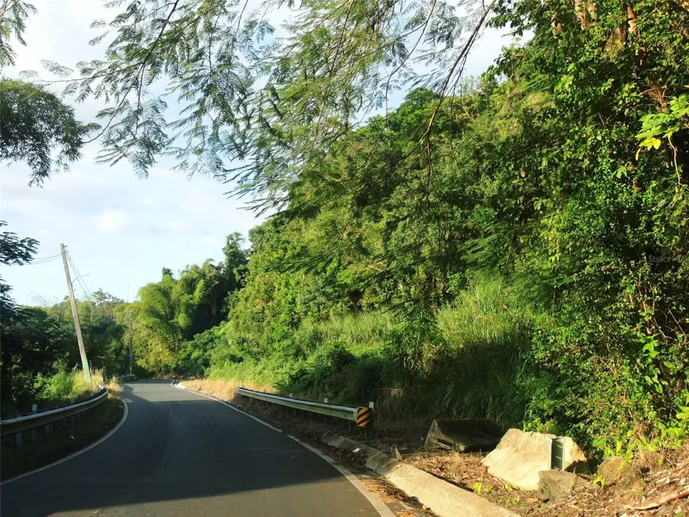 PR181 km 53.3 SECTOR LA SILLA  CARR 941 Gurabo, PR 00778