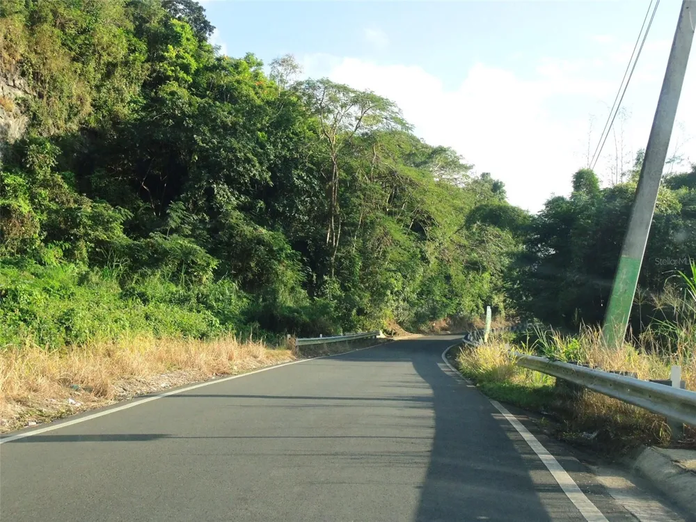 PR181 km 53.3 SECTOR LA SILLA  CARR 941 Gurabo, PR 00778