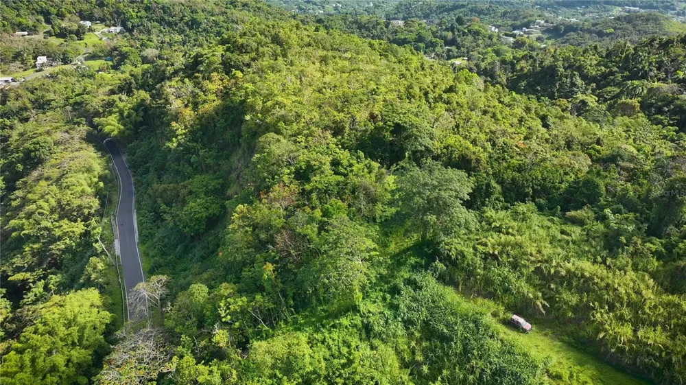 PR181 km 53.3 SECTOR LA SILLA  CARR 941 Gurabo, PR 00778