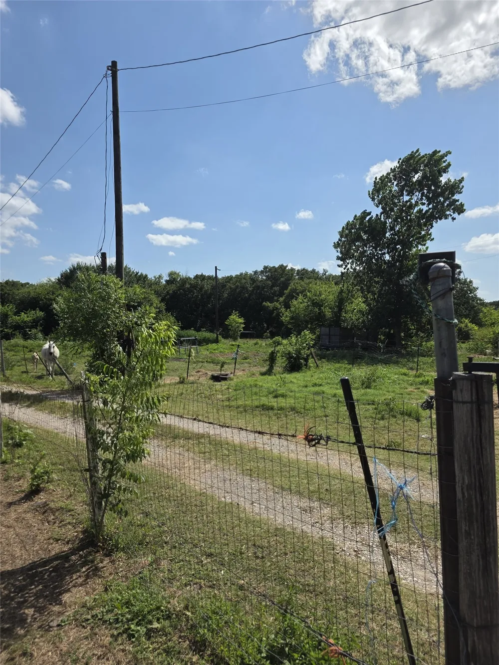 3719 Private Road 3843 Road Quinlan, TX 75474