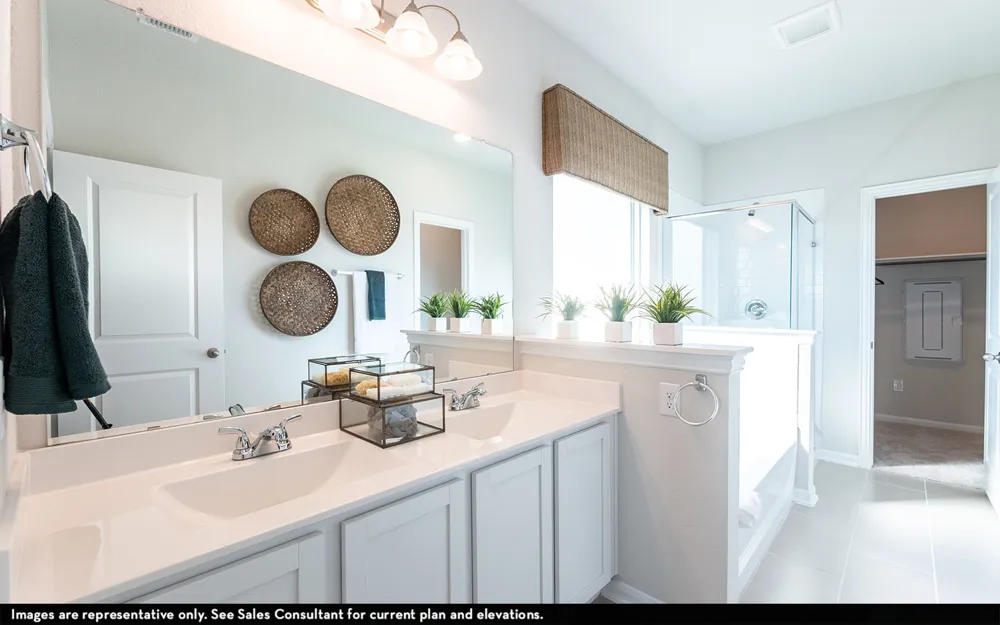 351 Begonia Street Buda, TX 78610