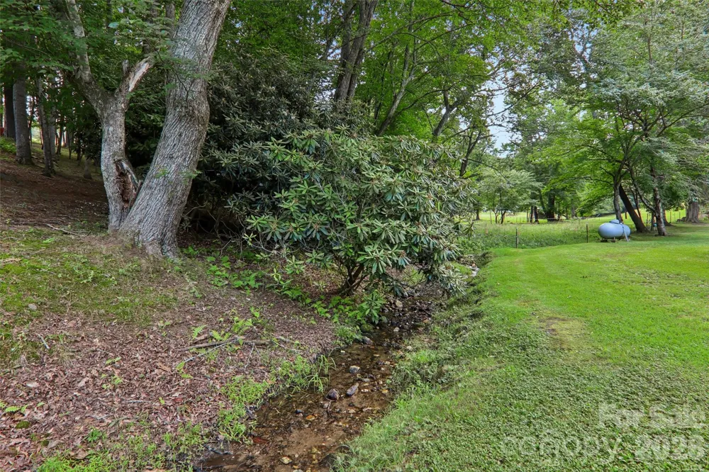 611 Reeves Cove Road Candler, NC 28715