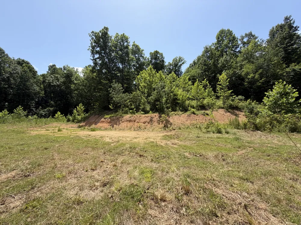 215 Bar Bee Rd Hohenwald, TN 38462
