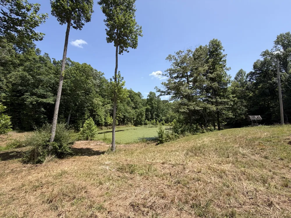 215 Bar Bee Rd Hohenwald, TN 38462