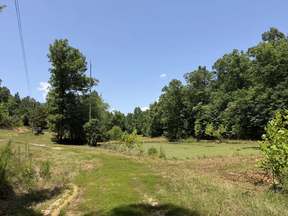 215 Bar Bee Rd Hohenwald, TN 38462