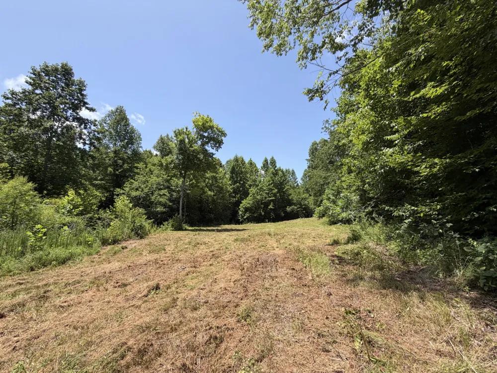 215 Bar Bee Rd Hohenwald, TN 38462