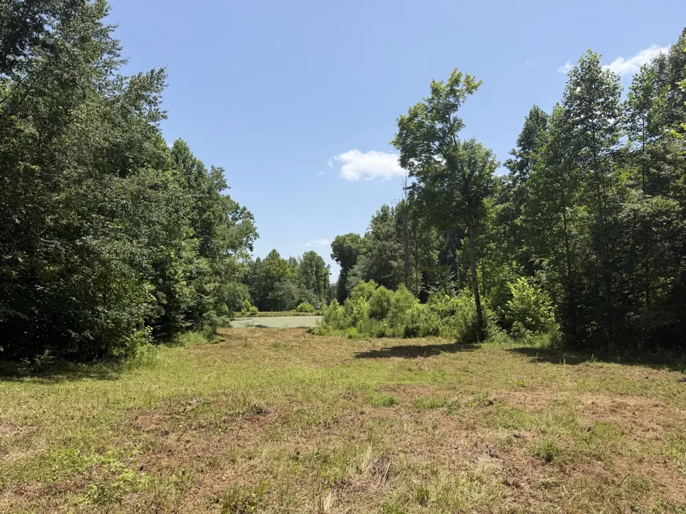 215 Bar Bee Rd Hohenwald, TN 38462