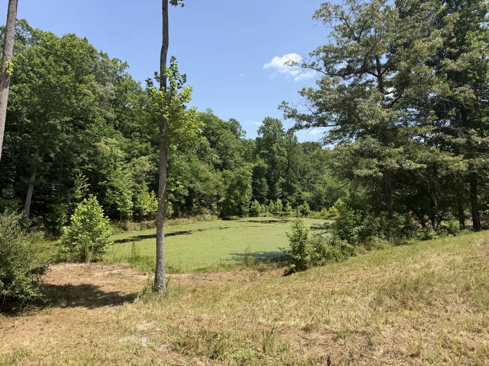 215 Bar Bee Rd Hohenwald, TN 38462