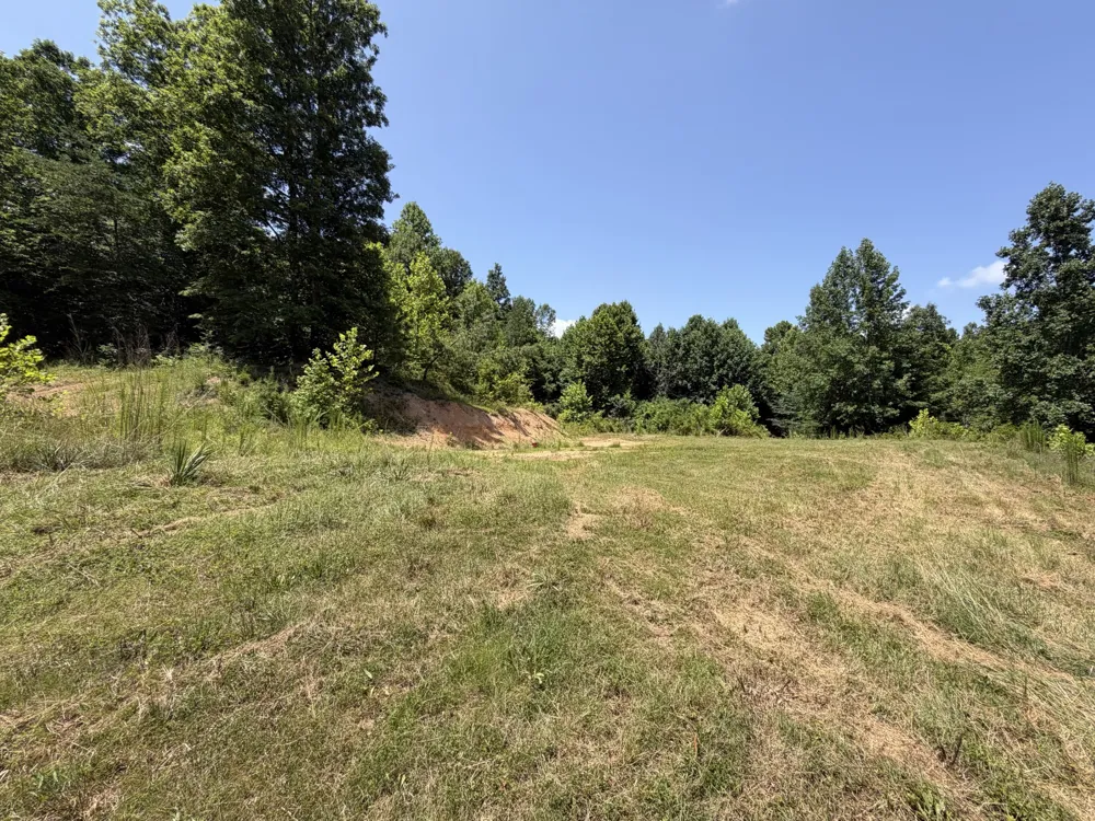 215 Bar Bee Rd Hohenwald, TN 38462