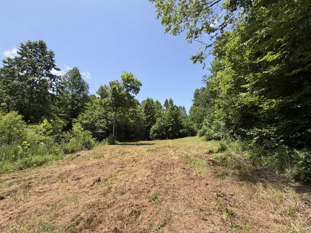 215 Bar Bee Rd Hohenwald, TN 38462