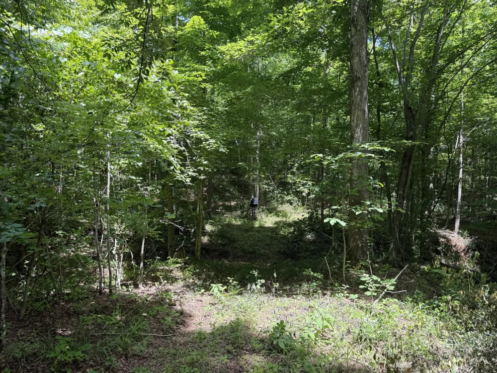 215 Bar Bee Rd Hohenwald, TN 38462