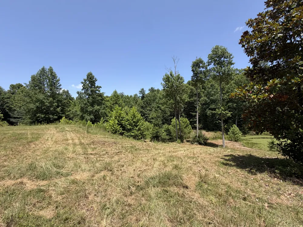 215 Bar Bee Rd Hohenwald, TN 38462