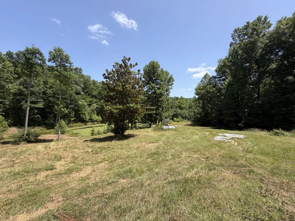 215 Bar Bee Rd Hohenwald, TN 38462