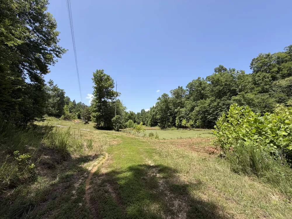 215 Bar Bee Rd Hohenwald, TN 38462