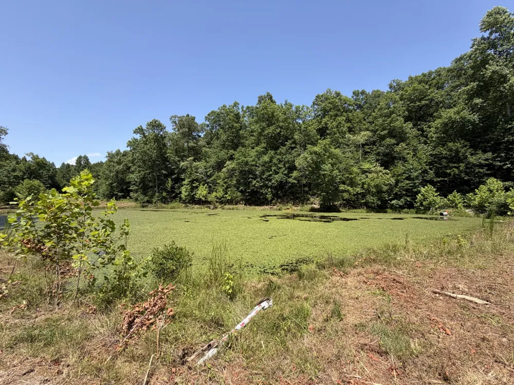 215 Bar Bee Rd Hohenwald, TN 38462