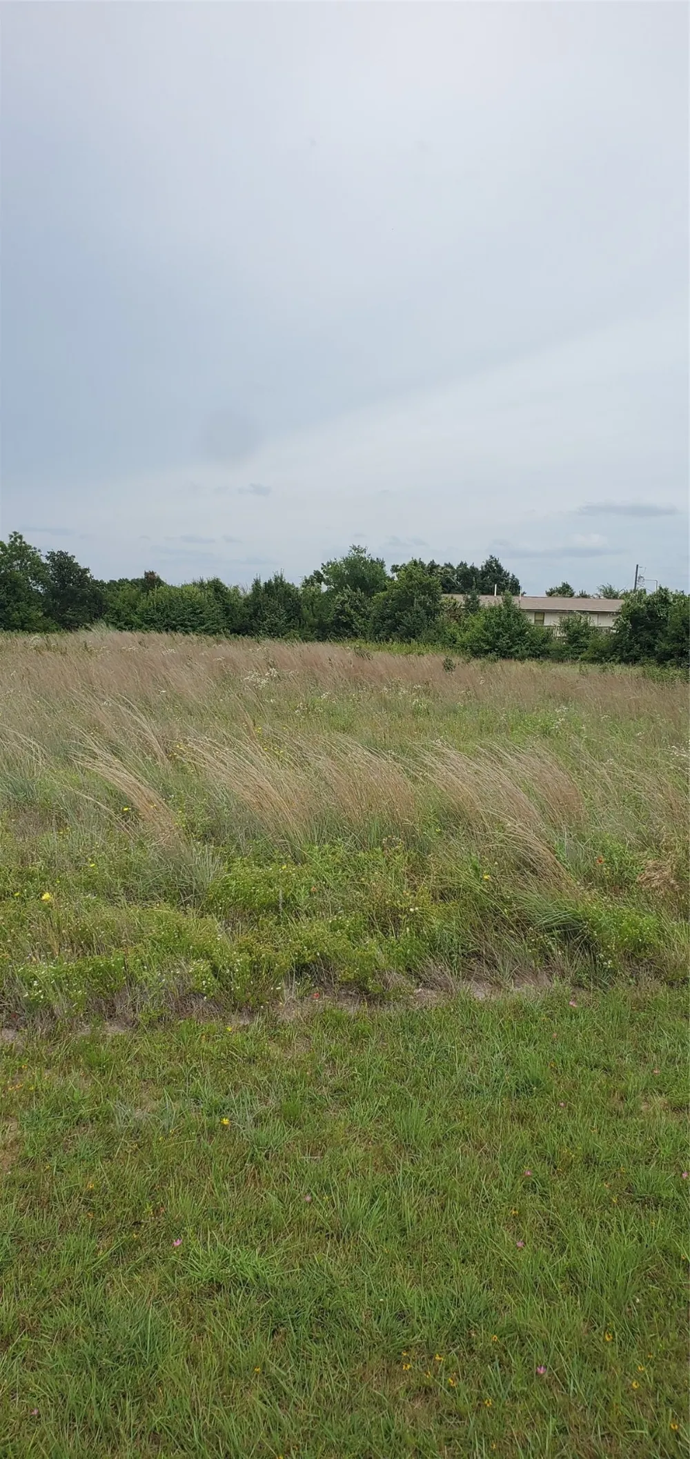 Shelley Lane Clyde, TX 79510