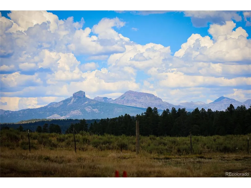 3000 County Road 359 Pagosa Springs, CO 81147