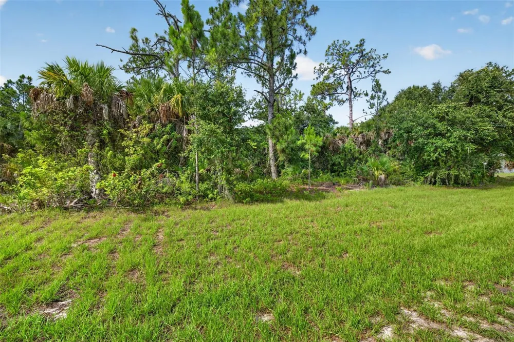 18303 HILLSBOROUGH BOULEVARD Port Charlotte, FL 33954