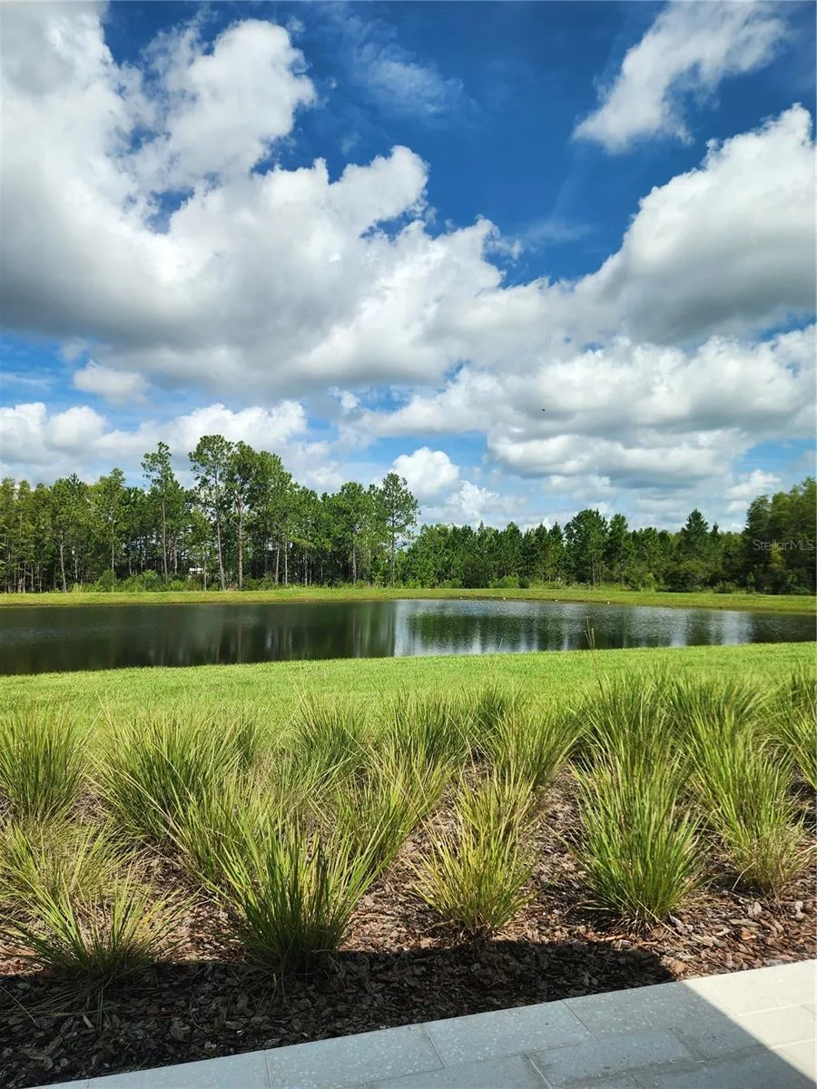 8852 GALLANTREE PLACE Land O Lakes, FL 34637
